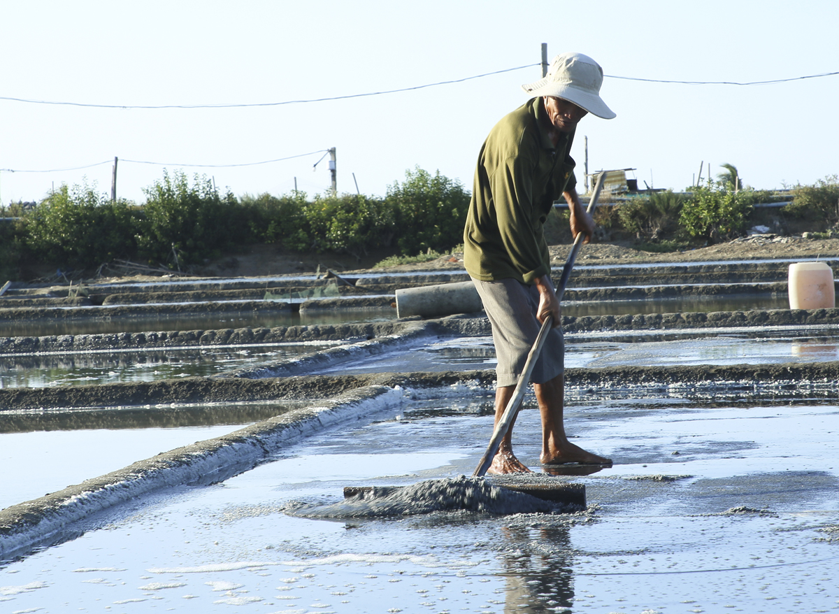 Muối vẫn được làm thủ công và do những lao động già thực hiện.